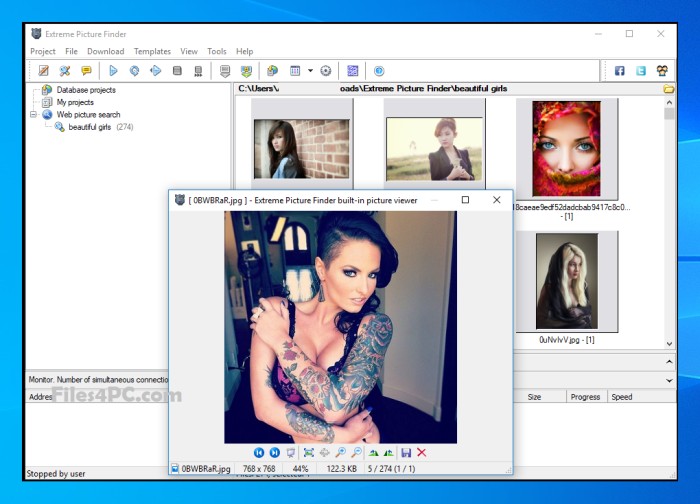 Extreme Picture Finder Full Version Download