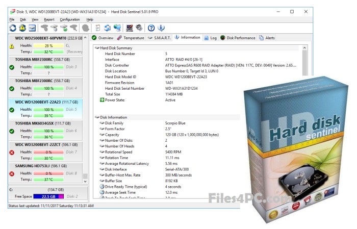 Hard Disk Sentinel Pro Full Version Interface