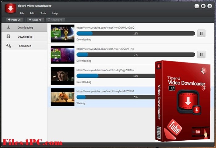 Tipard Video Downloader Full Version Interface
