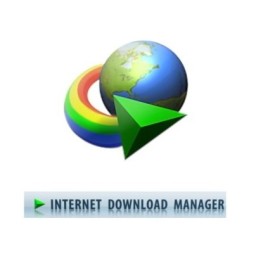 idm manager download not stable
